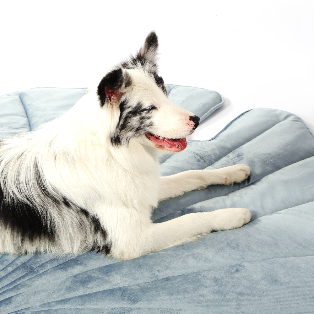 IcyNap™ – Tappetino Rinfrescante per Animali