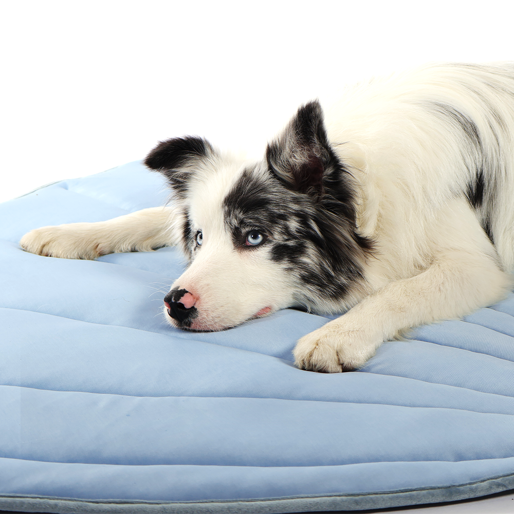 IcyNap™ – Tappetino Rinfrescante per Animali